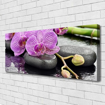 Slika na platnu Orchid orchid zen spa