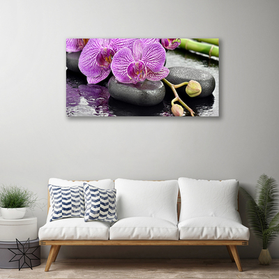 Slika na platnu Orchid orchid zen spa