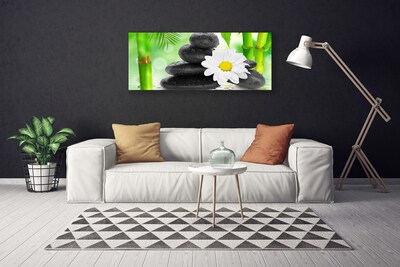 Slika na platnu Bamboo daisy flower