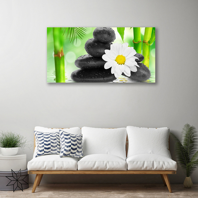 Slika na platnu Bamboo daisy flower