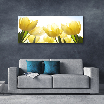 Slika na platnu Tulipani flowers rays