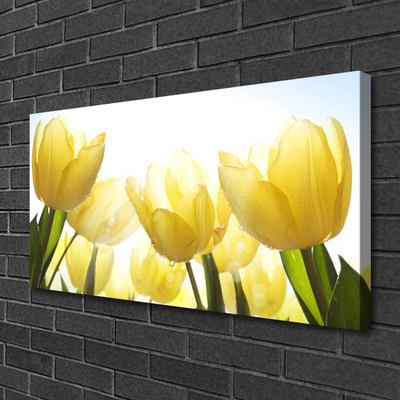 Slika na platnu Tulipani flowers rays