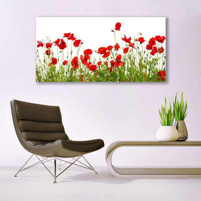 Slika na platnu Mak cvetje travnik narava