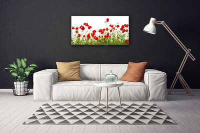 Slika na platnu Mak cvetje travnik narava