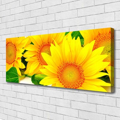 Slika na platnu Sončnica flower narava
