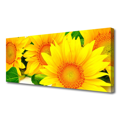Slika na platnu Sončnica flower narava