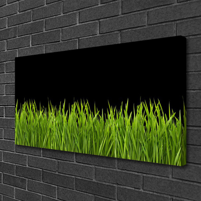 Slika na platnu Green grass nature