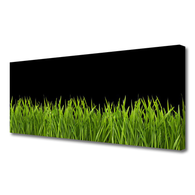 Slika na platnu Green grass nature