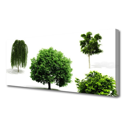 Slika na platnu Drevesa narava narava