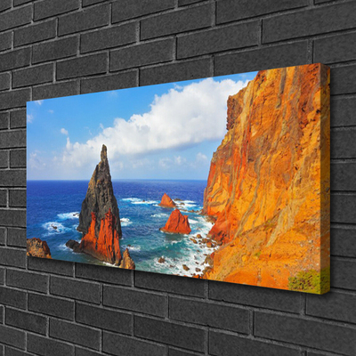 Slika na platnu Cliff sea coast