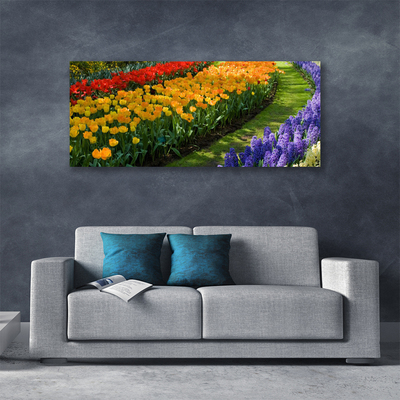 Slika na platnu Tulipani rože vrt