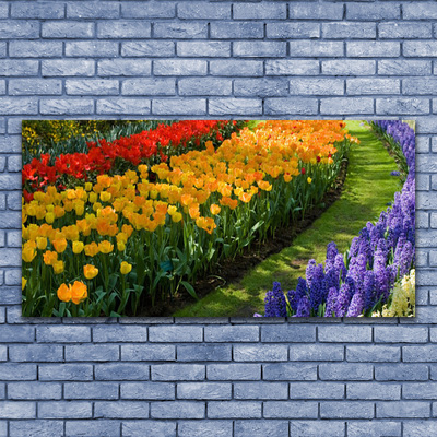 Slika na platnu Tulipani rože vrt