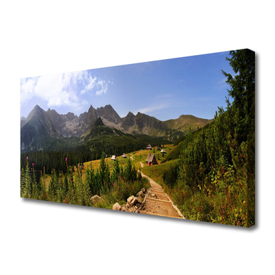 Slika na platnu Dvorana travnik mountain road narava