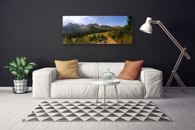 Slika na platnu Dvorana travnik mountain road narava