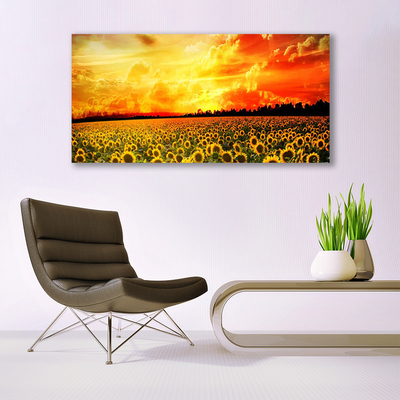 Slika na platnu Sončnice travnik flowers