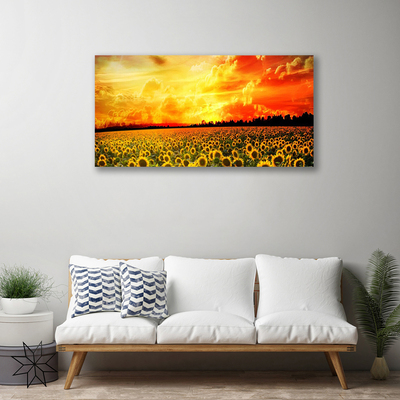 Slika na platnu Sončnice travnik flowers