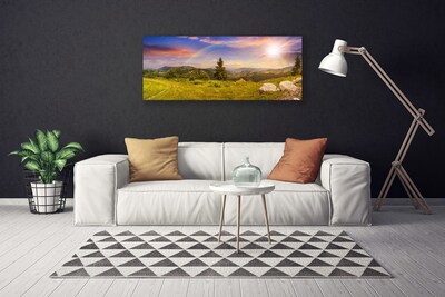 Slika na platnu Mountain travnik narava nebo