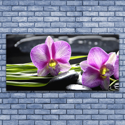 Slika na platnu Orchid zen spa stones