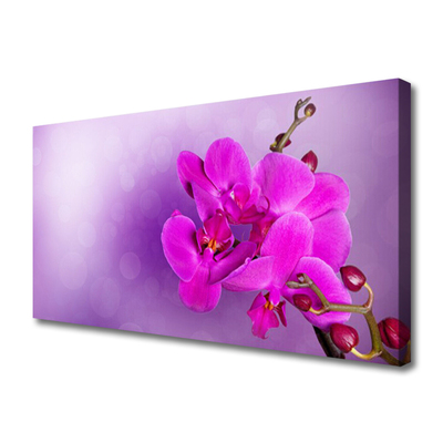 Slika na platnu Orchid latice cvetje