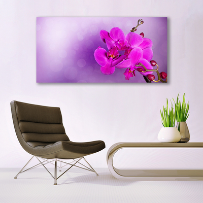 Slika na platnu Orchid latice cvetje