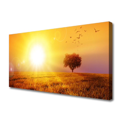 Slika na platnu Sunset meadow ptice