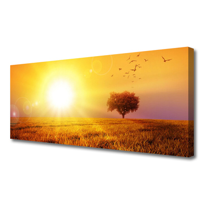 Slika na platnu Sunset meadow ptice