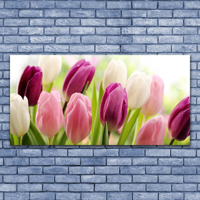 Slika na platnu Tulipani rože narava travnik