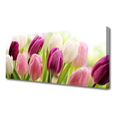 Slika na platnu Tulipani rože narava travnik