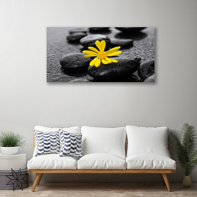 Slika na platnu Yellow flower nature spa