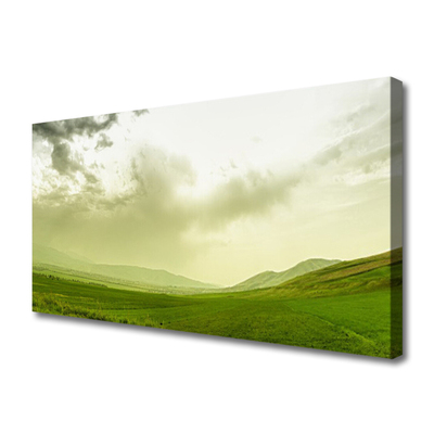 Slika na platnu Narava green meadow view