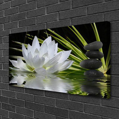 Slika na platnu Water lily cvetje