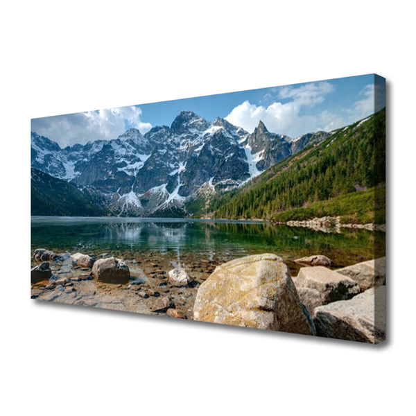 Slika na platnu Tatra mountains forest lake