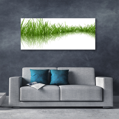 Slika na platnu Grass nature rastlin