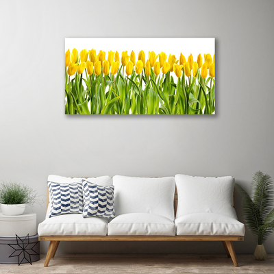 Slika na platnu Tulipani rože narava