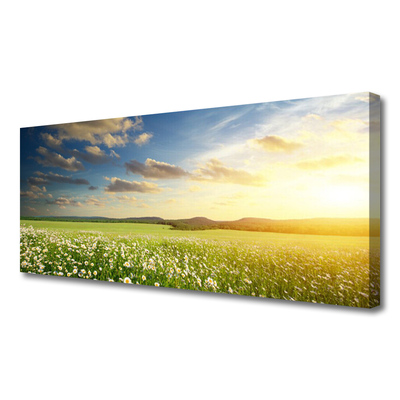 Slika na platnu Cvetje travnik landscape