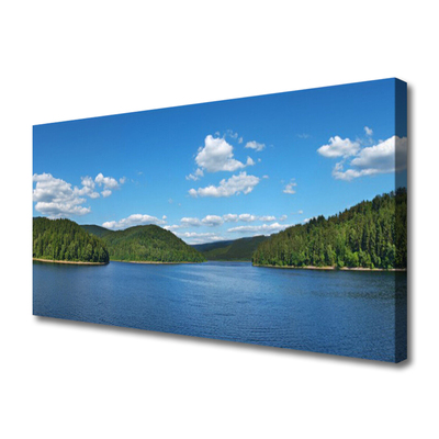 Slika na platnu Lake forest landscape