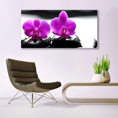Slika na platnu Orhideje narava