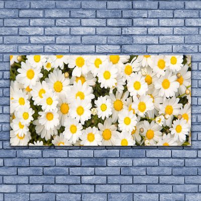 Slika na platnu Marjetice cvetje