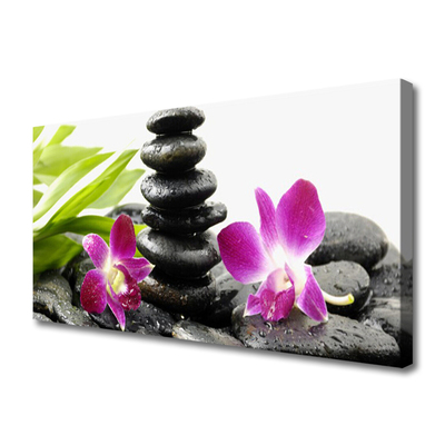 Slika na platnu Orchid zen spa stones