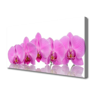 Slika na platnu Pink orchid cvetje