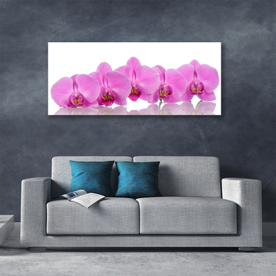 Slika na platnu Pink orchid cvetje