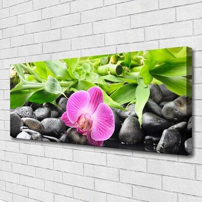 Slika na platnu Orchid cvetje rastlin