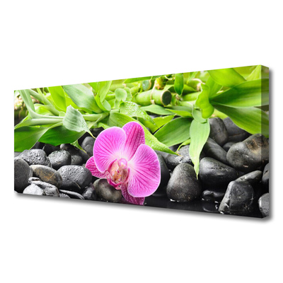 Slika na platnu Orchid cvetje rastlin
