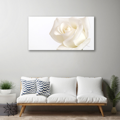 Slika na platnu Rose flowers