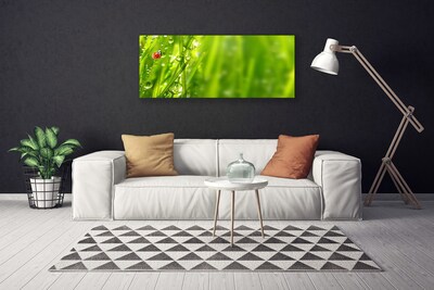 Slika na platnu Grass pikapolonica narava