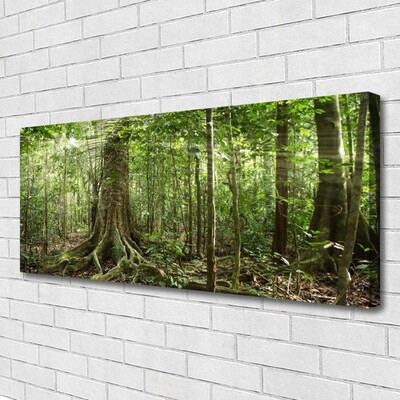 Slika na platnu Narava jungle forest trees