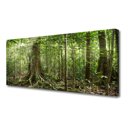 Slika na platnu Narava jungle forest trees