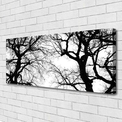 Slika na platnu Drevesa narava black and white