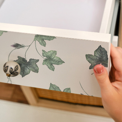 Pohištvena folija Listi bršljana