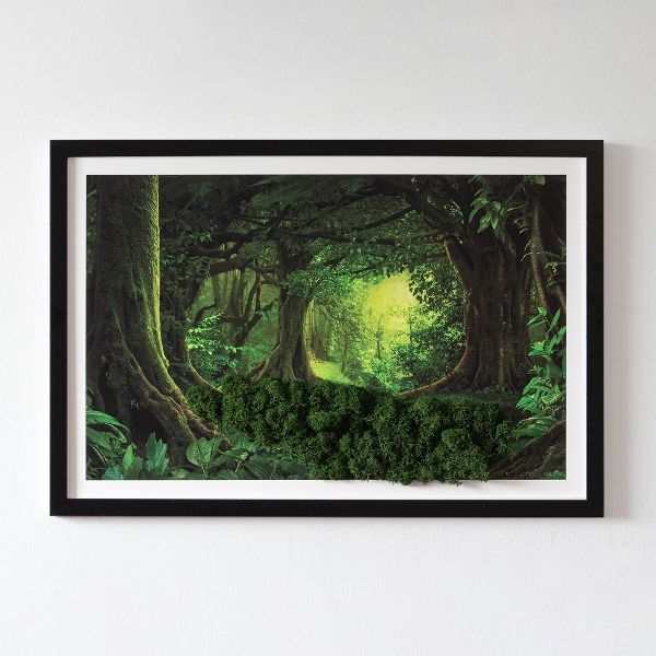 Slika iz maha z okvirjem Tropska džungla